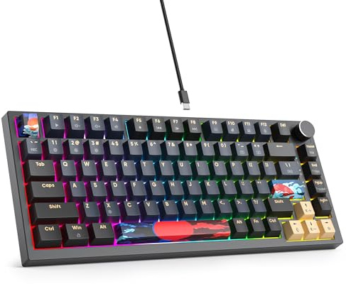 SbocKeeb Custom Gaming Tastatur 75 Prozent Hot-Swap,kabelgebundene Mechanische RGB Tastatur mit Dichtung und Schall absorbierenden Pads Programmierbare Amerikanische QWERTY V400 Blue Samurai