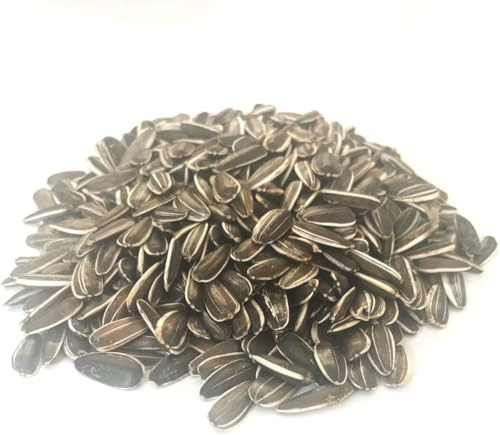 500g Small Sunflower Seed Cage & Aviary Bird Food LGDS