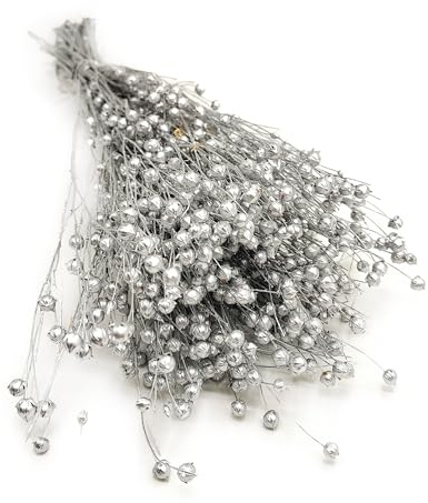 Enchanted Dekogras Getrocknetes Gras Flachs Ziergras Leinen Trockenblumen Natürlich Boho 80 Stück Silber