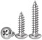 FandWay Viti Autofilettanti a Testa Bombato,Viti Per Legno Croce M5x12/16/20/30/40mm,Viti Testa Tonda a Phillips Completa Filettatura Inox A2 V2A per Mobili Garage Casa DIY (20 per dimensione)