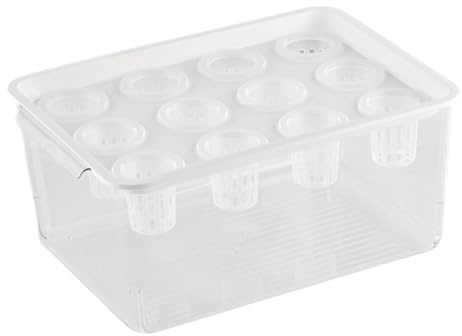Betta Aquarium, Aquaponic Planter and Aquarium Decoraciones de plantador de | Estación de propagación de plantas de peces para suculentas y plantas de interior
