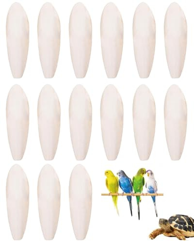 IPNSDON 15Pz osso di calamaro pappagallo masticare uccello con 2 pezzi di metallo Stand masticare giocattolo con osso di calamaro per pappagalli, uccelli, rettili, tartarughe