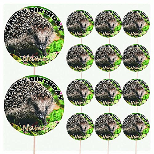 AK Giftshop Hedgehog Personalised Food & Cake Toppers Picks Birthday Decorations - (Pack of 14)