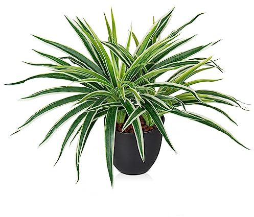 Oairse 33cm Kunstpflanze im Topf, Bonnie Künstliches Grüne Lilie Chlorophytum Gefälschte Spinnenpflanze, Deko kunstpflanze hängend für Wohnzimmer Balkon Schlafzimmer Badezimmer Zimmer Tischdeko