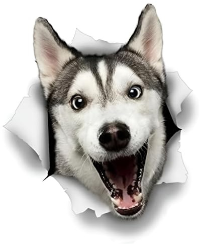 Autoaufkleber Lustig Husky 15cm(5.9 Inch) 3D Zerrissen Personalisiert Hund Reflektierende Aufkleber Stoßstange Autofenster Wasserdichte Dekor PVC