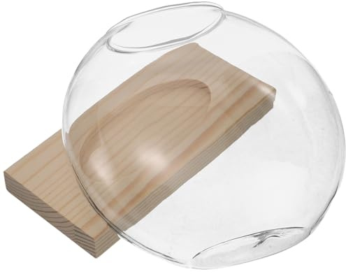 Homoyoyo Station Hydroponique en Verre Transparent avec Support en Bois Naturel, Vase de Table Hydroponique pour Jardin Intérieur, Bureau et Décoration, Bocal de Propagation de Plantes