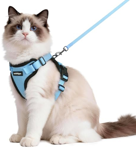 rabbitgoo katzengeschirr mit Leine ausbruchsicher für Katze Verstellbares Brustgeschirr Reflektierendes Softgeschirr mit katzenleine Weich und Bequem für Kätzchen, Hellblau, M