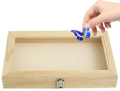 SNBGRYE Probenschaukasten, Gesteins- Und Mineralien-Sammelkasten, Holzprobenkasten Mit Transparentem Deckel, Auch Geeignet FüR Kristall-, Edelstein- Und Schmucksammlung