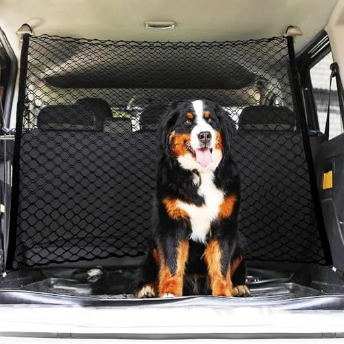 BLAFT Hundegitter Auto für Citroen SpaceTourer 2016-2023, Doppelschicht Haltbar Trennnetz Auto Hundeschutzgitter für Kofferraum Rücksitz Reisen