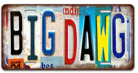 PanAJiao Vintage Big Dawg License Plate Metal Tin Sign Rustic for Wall Decor 12 x 6 Inches