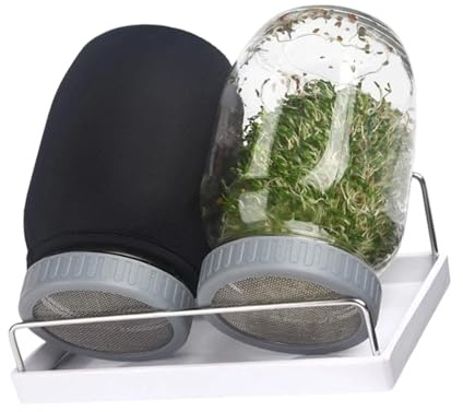 KieTeiiK Sistemas de cultivo de germinación en tarro de vidrio con bandeja de goteo para alfalfa orgánica de frijol mungo y rábano, juego de germinación eficiente en el espacio para principiantes