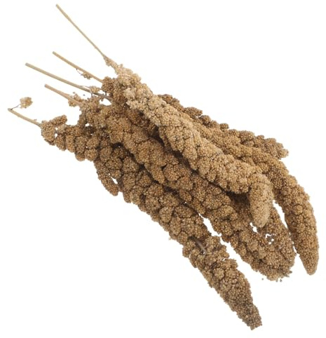 JOINPAYA Snack di Miglio per Pappagalli e Cocoriti da 500g Snack per Addestramento e Ricompensa per Uccelli per Gabbia
