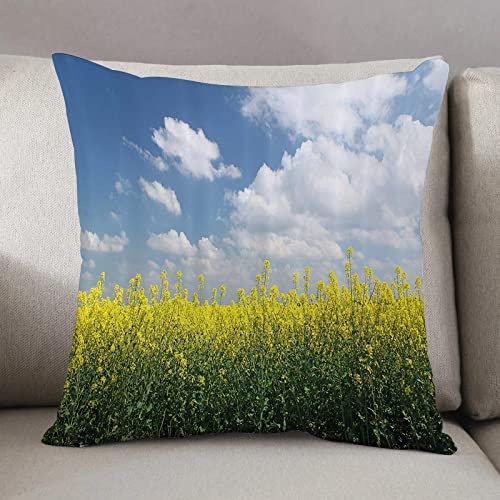 Cushion Covers 50 x50cm Square Throw Pillow,Country Home,Blooming Rapeseed Field and Clear Sky Clouds Saxony Germany,Decorative Sofa Cushion Covers for Bedroom Couch Living Room with Invisible Zipper