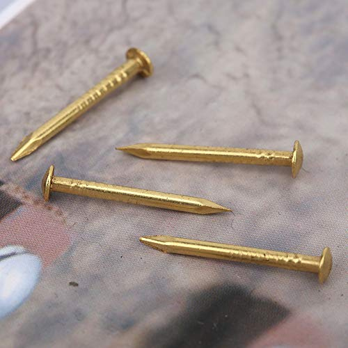 UPALDHOU Vintage DIY Craft Fastener Set, 100Pcs Brazen Brass Round Head Nail for Wall Hanging and Image Display (18mm Long)