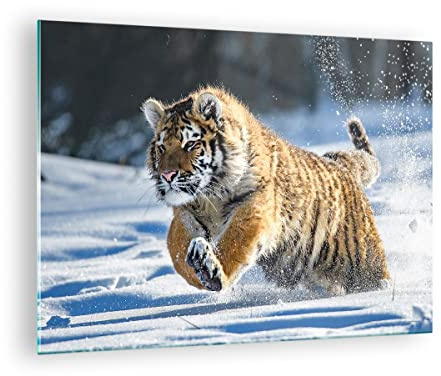 ARTTOR Bilder auf Glas 70x50cm Wandbild Glasdruck Natur Tiere - 3928