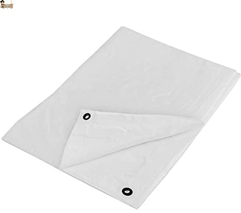 BricoLoco.com Toldo Lona Impermeable Blanco Multiuso Exterior. 3x5 MTS. 110 grs. ¡¡Reforzado!! Cubretodo cobertor leña, Remolque, Piscina, Mueble jardín. (110 grs. Blanco, 3x5 MTS.)