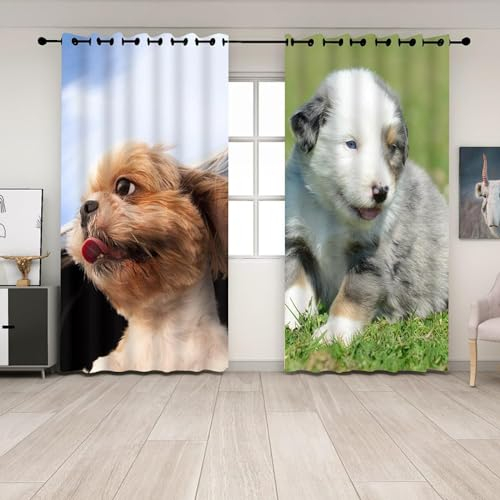 EXSANLIEAY Verdunklungsvorhänge Teddy, Vorhang Blickdicht Tier Vorhänge mit öSen 2er Set für Schlafzimmer Kinderzimmer, Deko Gardinen Wohnzimmer-260 x 140 cm (H X B)
