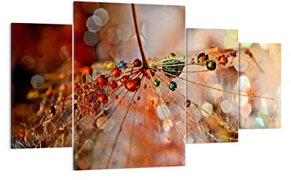 Mehrteilige Bilder auf Leinwand 160x90cm Leinwandbild Spinnennetz modern Groß XXL Wanddeko Bild Schlafzimmer Set 4 teilige Wandbilder Dekoration Wohnzimmer Canvas Wand Kunstdruck Art DL160x90-3774