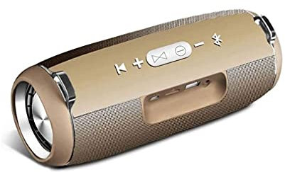 SMSOM Bluetooth Haut-parleurs, Haut-Parleur Bluetooth sans Fil Portable avec Son stéréo de 15W, Basse Active de Basse, Paire stéréo sans Fil, 8 Heures de Jeu, Or (Color : Gold)