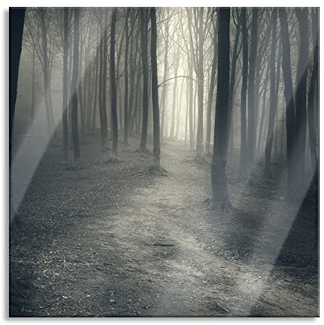 Pixxprint Glasbild, Wandbild auf Echtglas, Düstere Landschaft schwarz weiß, 50x50 cm, inkl. Aufhängung und Abstandshalter