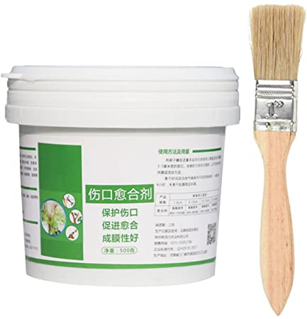 Pomurom Cirage de Coton - 500 g - Cire de plaie pour Arbres, Arbres fruitiers, Arbres, arbustes ornementaux, pâte médicinale, pâte de plaie, Plantes pour la Finition des Arbres fruitiers,