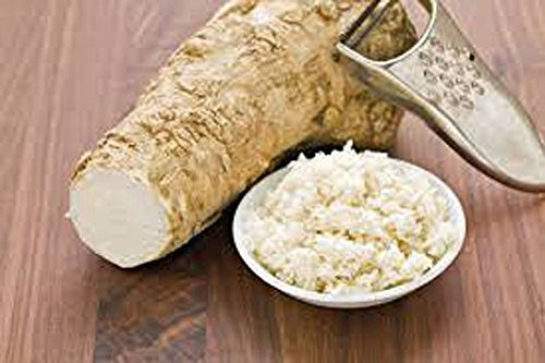 Horseradish Root, Sauget, 1 ounce (Sold by Weight). Great for Planting, Seasoning or Sauces. A taste delight.