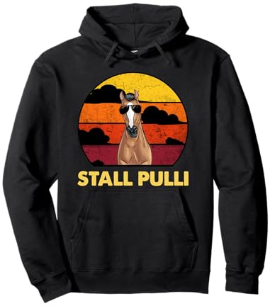Retro Reitsport Reiten Stall Pulli Pferde Pullover Hoodie