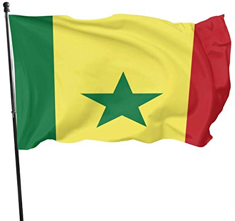 Drapeaux 0,9 x 1,5 m en polyester avec couleurs vives avec deux œillets métalliques - Bannière durable et résistante aux couleurs - Drapeau du Sénégal pour décoration intérieure et extérieure