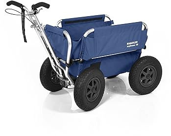 Rambler Explorer 65 - Handcart for childcare or childcare - Suitable for max. 5 children (Blue)