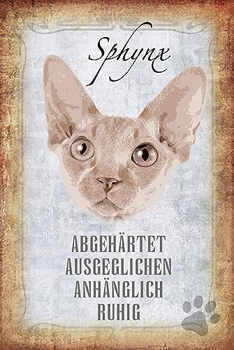 Holzschild 18x12cm Sphynx Katze Wanddeko Wand Deko Bar Kneipe Sammler Geschenk