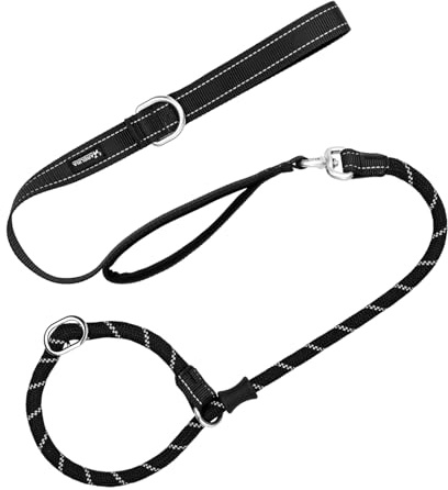 Arblina Slip Lead for Dogs, No Pull Slip Lead with Double Handles, Head Halter Training Dog Leash with Hi-vis Light-Reflective Design, Figure of 8 Dog Lead, Black, 1.2 * 180 cm