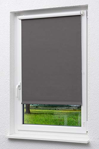 LYSEL Outlet - Mini Rollo abdunkelnd Anthrazit, (B x H) 123cm x 190cm in grau/Anthrazit
