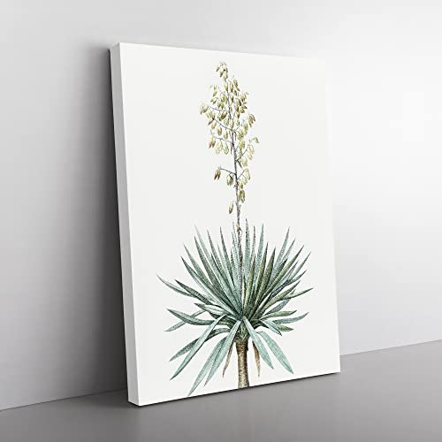 Adams Needle Yucca Flowers By Pierre Joseph Redoute Vintage Canvas Wall Art Print Ready to Hang, Framed Picture for Living Room Bedroom Home Office Décor, 60x40 cm (24x16 Inch)