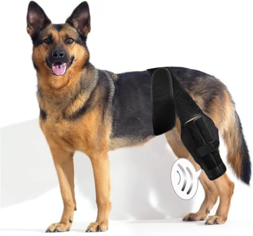 Spring.Rd Kniebandage für Hunde und Haustiere, zur Unterstützung bei Kreuzbandverletzungen, Gelenkschmerzen und Muskelwunden, verstellbare Hinterbeinbandagen für Hunde, Kniebandage (klein)