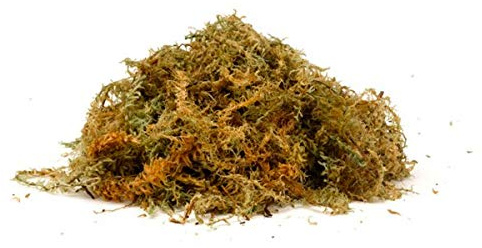 Garden Mile 600g Sphagnum Moss - Natural Sphagnum Moss Ideal for Terrariums, Live Plant Displays, Wreaths Orchid Potting Mix and Garden Hanging Baskets