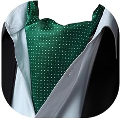 HISDERN Krawattenschal Herren Hochzeit Ascot Krawatte Gepunktete Elegant Business Halstuch