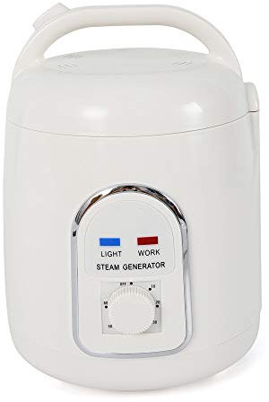Generatore di vapore, sauna portatile 220 V, 1,5 l, vapore, per casa, vapore, spa, portatile, vapore, sauna facciale, con timer, 29 x 21 x 21 cm