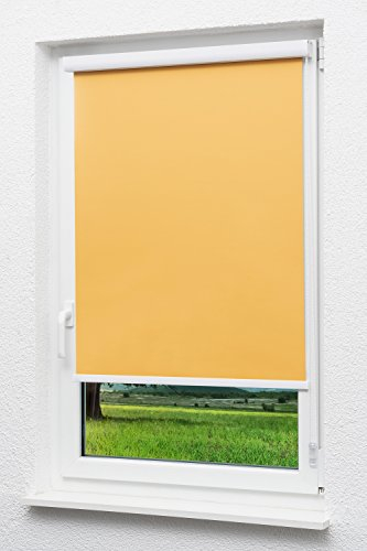 LYSEL Outlet - Kassettenrollo abdunkelnd Aprikose, (B x H) 90cm x 175cm in orange/Aprikose