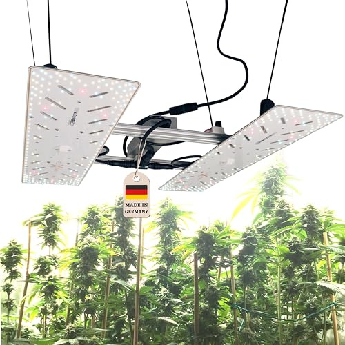 Bloomstar by Crescience Wingman 660L Grow Lampe mit Samsung LED, MeanWell Driver, dimmbare Vollspektrum Pflanzenlampe Grow Light für Indoor Anbau Netherlands Amsterdam Houses