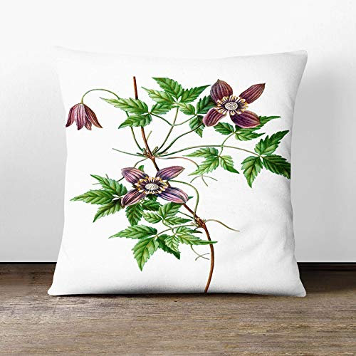 Big Box Art Alpine Clematis Flowers by Pierre-Joseph Redoute - Cushion Cover Throw Pillow with Insert for Sofa Chair Bed - Double-sided - 55x55 cm