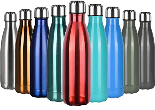 flintronic Stainless Steel Water Bottle,500ml Double Walled Vacuum Flask with Cleaning Brush, BPA Free 12 Hours Hot&Cold Sport Drink Bottle for Gym, Home, Office, Outdoor, Work