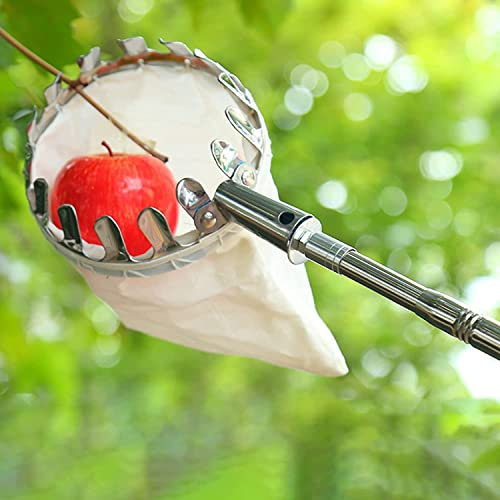 LekLai Obstpflücker, Obstgreifer, Pflaumen-Obstpflücker Mit Teleskopgriff, Mit Metallklemmkorb, Obstpflücker-Werkzeug/Gold/10M(32.8Ft)