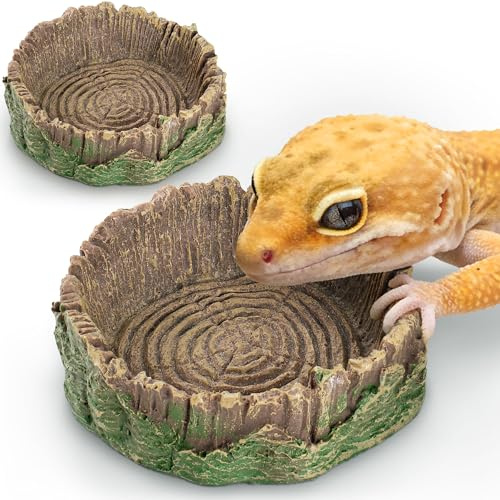Ciotola per Rettili Set da 2 Ciotole Cibo e Acqua per Terrari Reptile Bowl