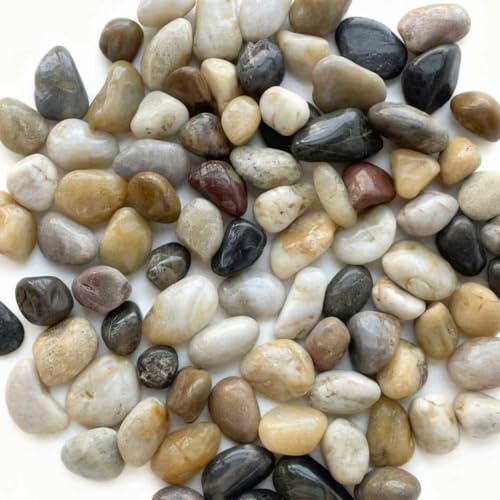 BaiMoure Polierte Kieselsteine 1,3kg (1-3cm) Natur Dekosteine Bunter Kies | Flusskiesel, Glanzkies für Aquarium Garten Vasen Blumentopf, Zierkies Bunt, für Zimmerbrunnen & Grabgestaltung, Deko Steine