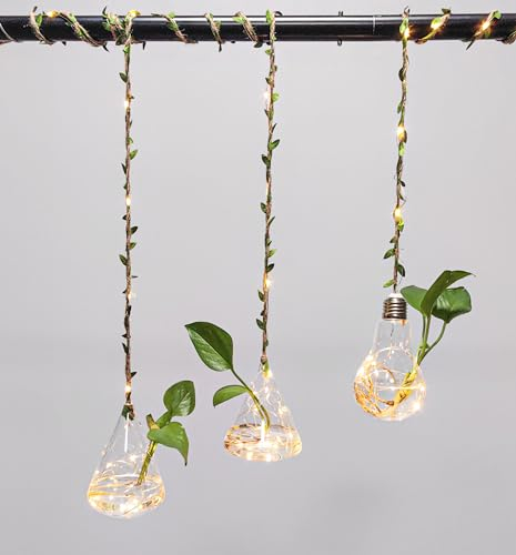 3 Stücke Wandbehang Glas Pflanzgefäße mit Lichtern Wand hängende Pflanzer für Indoor-Pflanzen Terrarium Container Blume Glas Pflanzer Hydroponische Pflanzen Dekor Mini Blumenvase für Haus Garten Büro