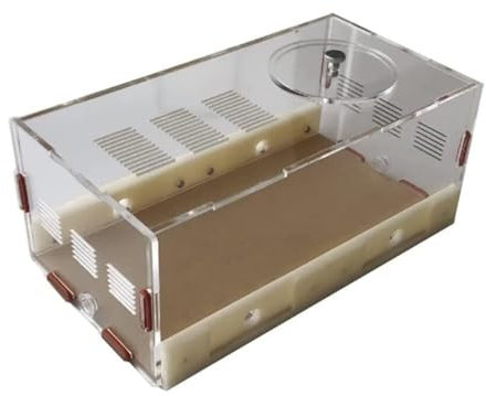 GTGXZX Ameisenfarm Ameisennest Acryl Ant Burg Ant Lebensraum Wissenschaft Popularisierung Lernen Set Ant Farm Studie Ant Verhalten Ant Nest Ameisenhaus Ameisen Zucht Box