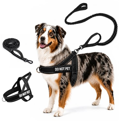 Quelcc Anti Zug Hundegeschirr mit Leine, Sicheres Brustgeschirr für Leine für große mittelgroße Hunde mit Frontbefestigung Flexibel Einstellbarer Gurt mit Reflektoren Trainingsleine Schwarz M