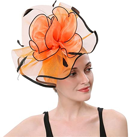 Fascinator Damen, Fascinator Damen Hut Blume Mesh Federn Kopfschmuck für Tea Party Kopfbedeckung Flower Federn Haarschmuck Stirnband Frauen Mädchen Kirche Hochzeit Cocktail Headwear Hüte