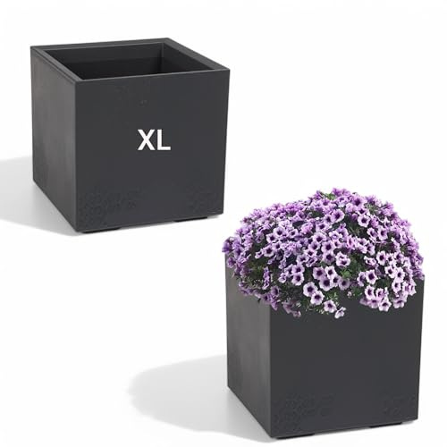 MELTOM Blumenkübel Blumentopf Quadratisch mit Rollen sehr Dekorativ (Anthrazit, XL)