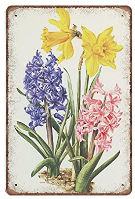 DAIERCY Narzissen und Hyazinthen Botanische Blechschilder von 1964, Vintage Frühling Dekor Botanische Kunst, lustiges Metallschild Poster Wandkunst Pub Bar Küche Garten Badezimmer Home Decor, 140 x